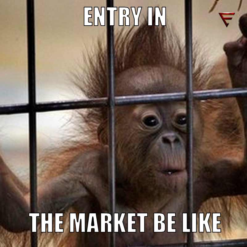 iamanentrepreneur startup monkey humour