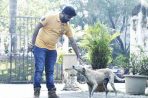 Play God, Save Dogs…