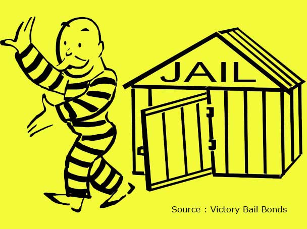 Madras High Court grants bail to Stayzilla CEO