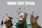 Cats, Dogs and Monkeys Speak About The Startup World!