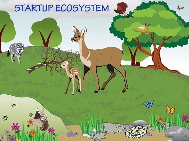 Relationships in the startup ‘ecosystem’