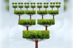 How to evaluate your franchise proposal?