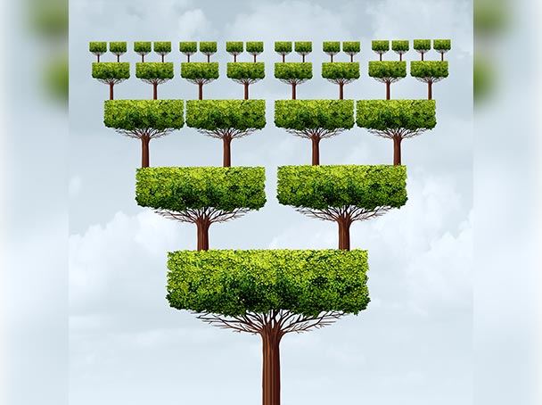 How to evaluate your franchise proposal?