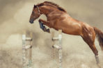 Five ways to turn your startup employees into powerhorse!